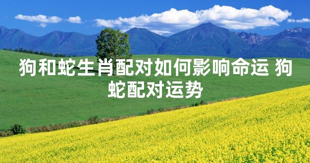 狗和蛇生肖配对如何影响命运 狗蛇配对运势